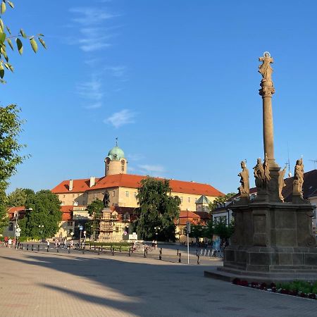 Zahradni Domek V Podebradech Подєбради Екстер'єр фото