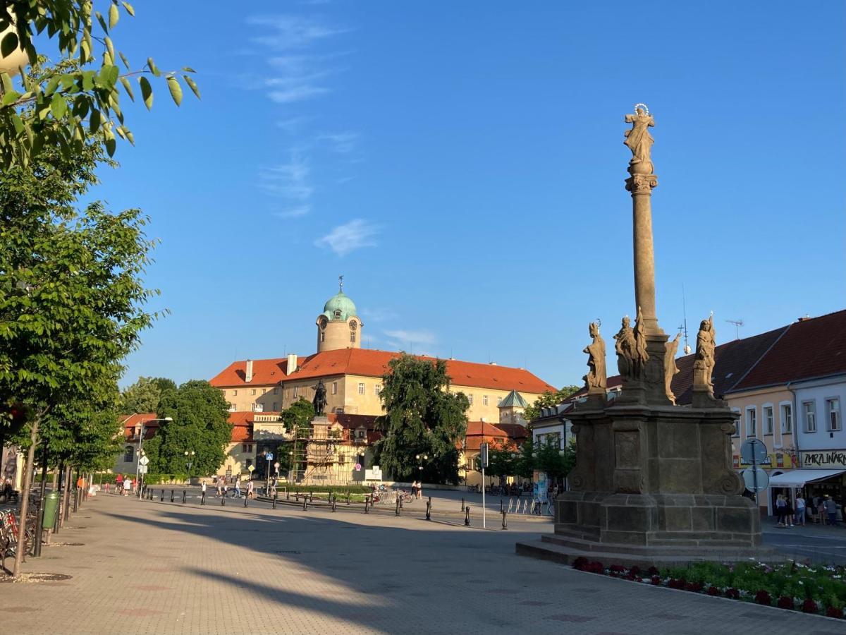 Zahradni Domek V Podebradech Подєбради Екстер'єр фото